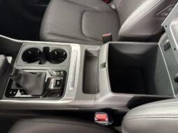 
										Kia Carnival full									
