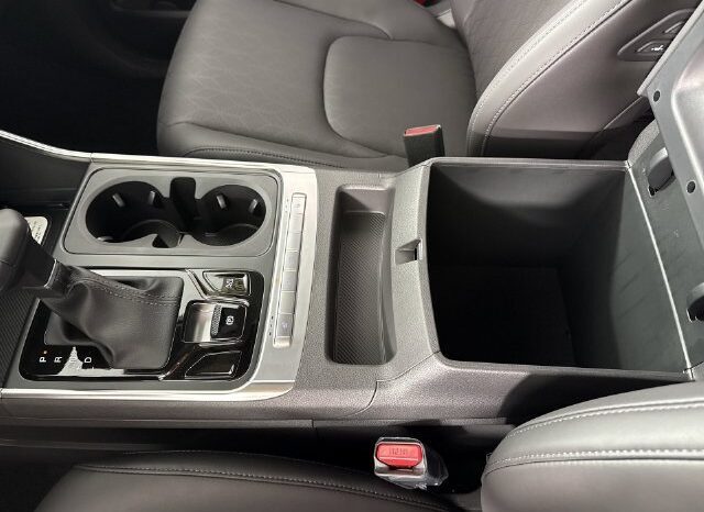 
								Kia Carnival full									
