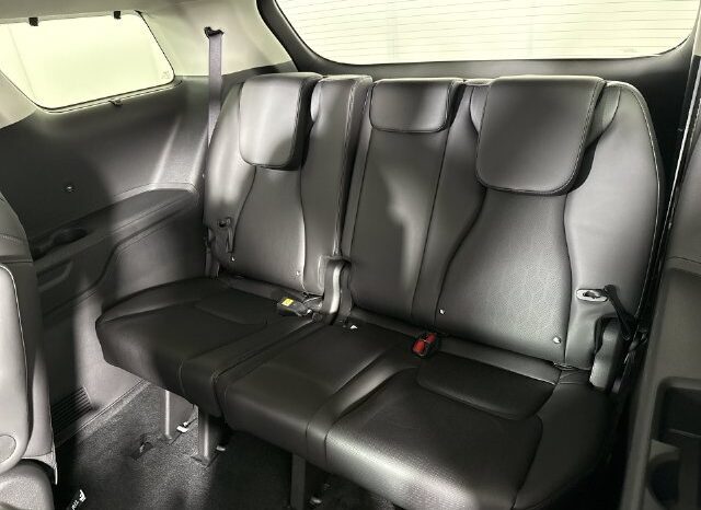
								Kia Carnival full									