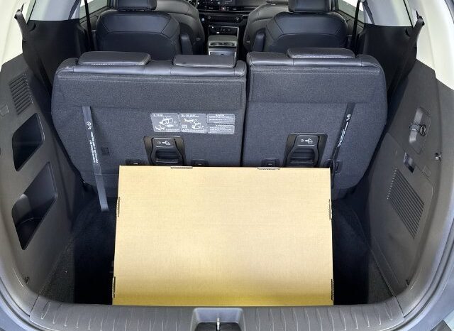 
								Kia Carnival full									