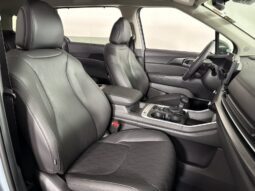 
										Kia Carnival full									