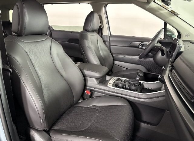 
								Kia Carnival full									