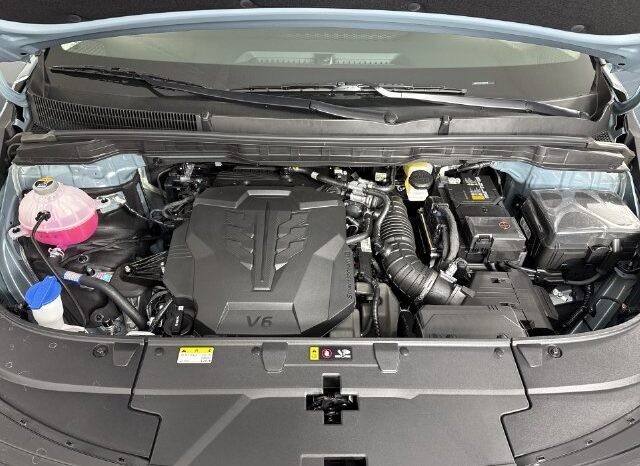 
								Kia Carnival full									