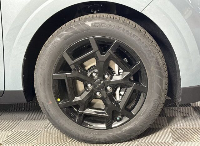 
								Kia Carnival full									