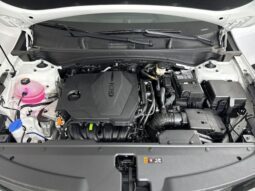 
										Kia Sportage full									