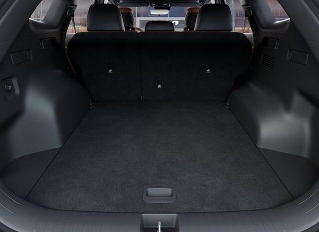 
 Kia Sportage Hybrid full									