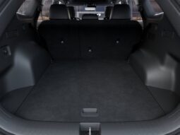 
										Kia Sportage full									