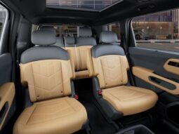 
 Kia Telluride Hybrid full									