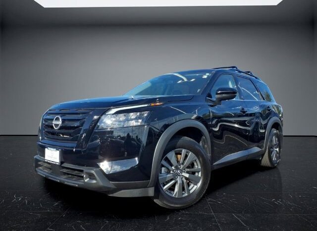 
								Nissan Pathfinder full									