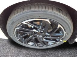 
										Nissan Sentra full									
