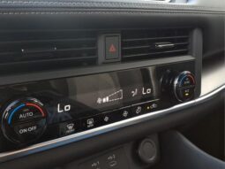 
										Nissan Rogue full									