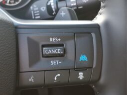 
										Nissan Rogue full									