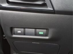 
										Nissan Sentra full									