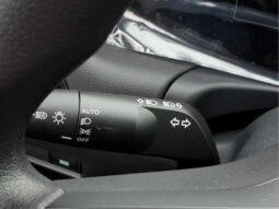 
										Nissan Sentra full									