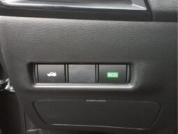 
										Nissan Sentra full									