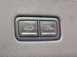 
										Kia Carnival full									
