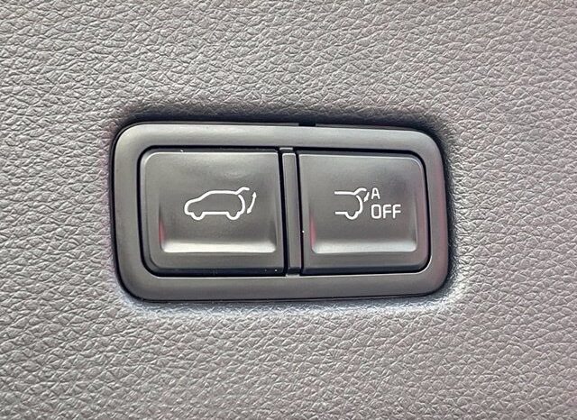 
								Kia Carnival full									