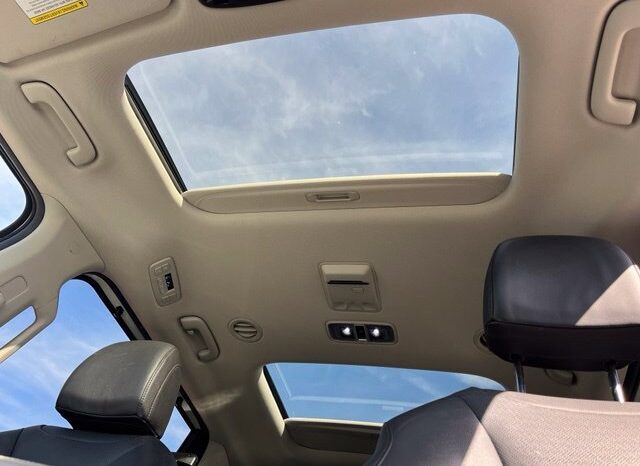 
								Kia Carnival full									
