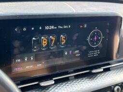 
										Kia Carnival full									