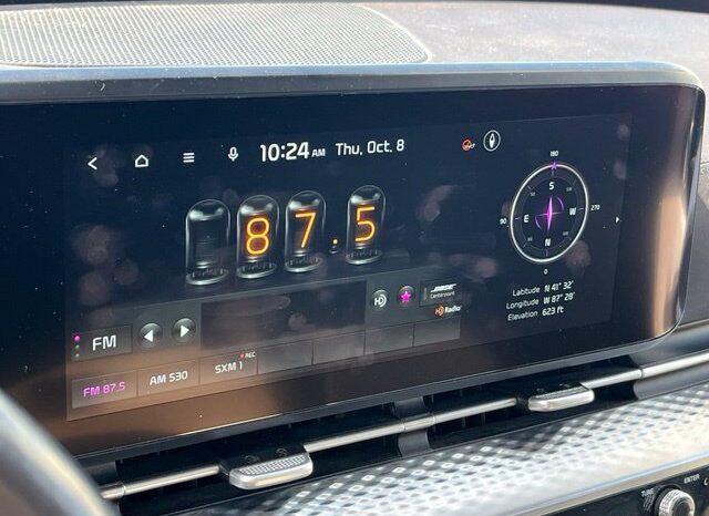 
								Kia Carnival full									