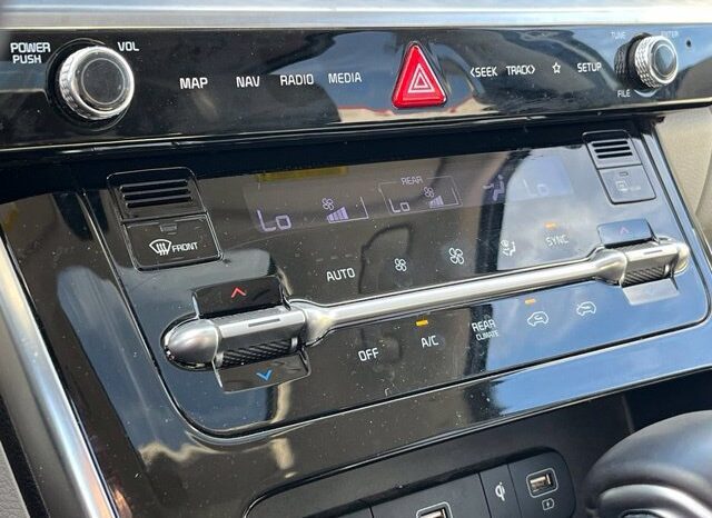 
								Kia Carnival full									