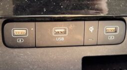 
										Kia Carnival full									