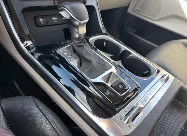 
								Kia Carnival full									