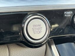 
										Kia Carnival full									