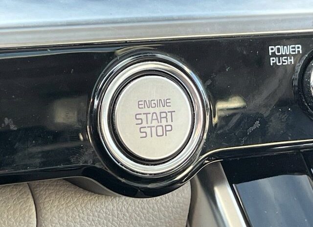 
								Kia Carnival full									