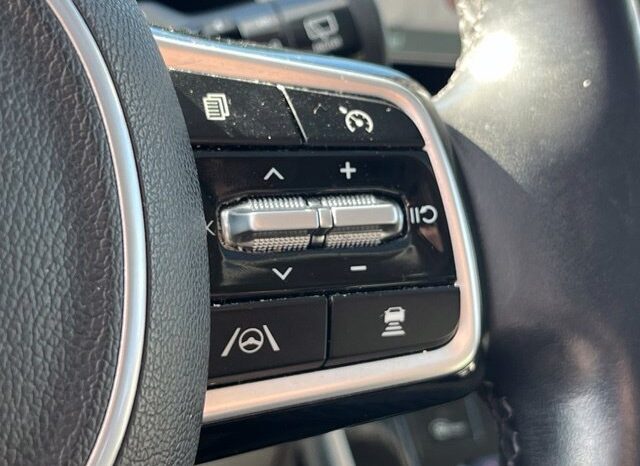 
								Kia Carnival full									