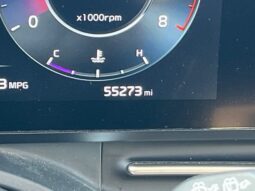 
										Kia Carnival full									