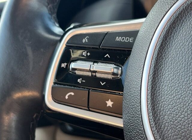 
								Kia Carnival full									