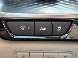 
										Kia Carnival full									