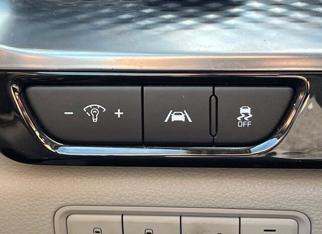 
								Kia Carnival full									