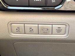 
										Kia Carnival full									