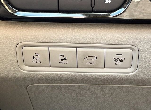 
								Kia Carnival full									