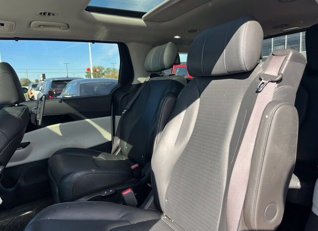 
								Kia Carnival full									