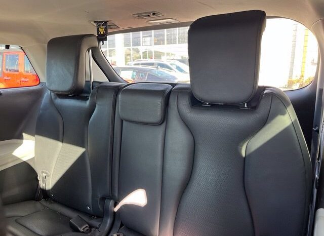 
								Kia Carnival full									