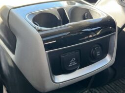 
										Kia Carnival full									