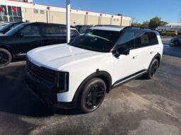 
										Kia Telluride Hybrid full									