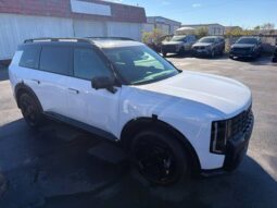 
										Kia Telluride Hybrid full									