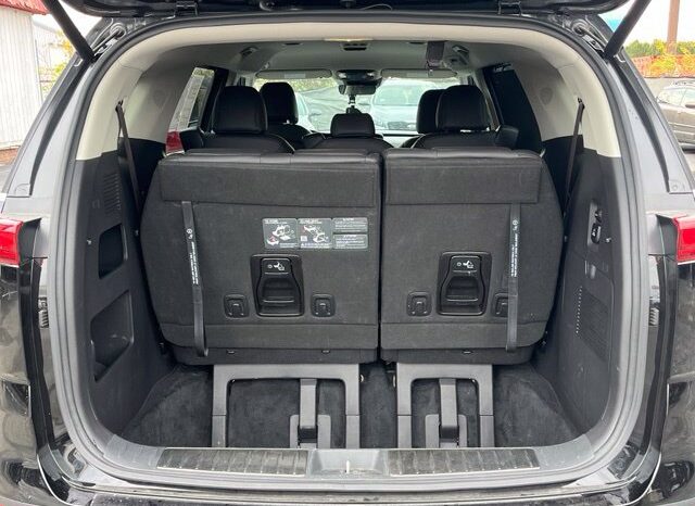 
								Kia Carnival full									