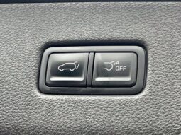 
										Kia Carnival full									