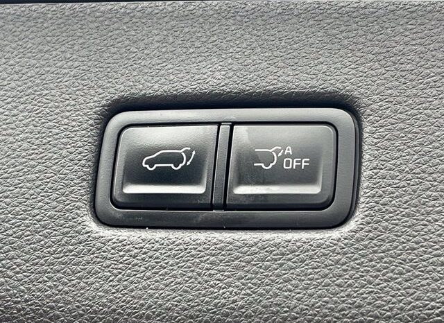 
								Kia Carnival full									