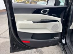 
										Kia Carnival full									