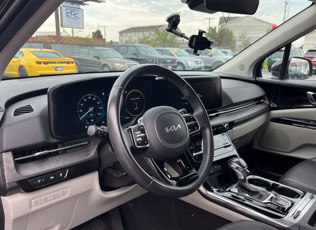 
								Kia Carnival full									