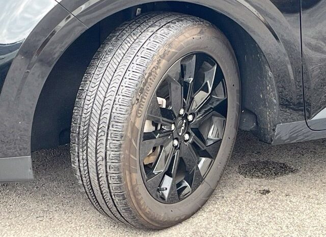 
								Kia Carnival full									