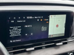 
										Kia Carnival full									