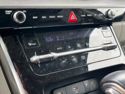
										Kia Carnival full									