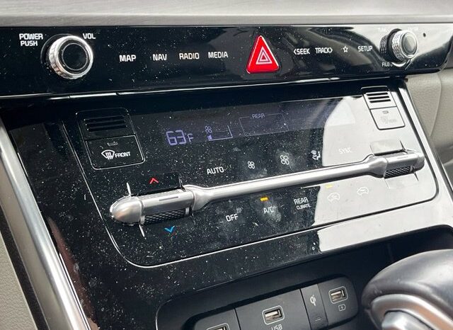 
								Kia Carnival full									